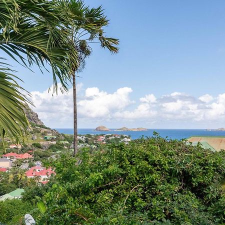 Art Et Mer Suite Saint Barth Anse Des Cayes Ngoại thất bức ảnh